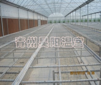 Greenhouse mobile seedbed