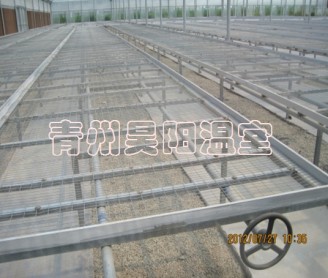 Greenhouse mobile seedbed