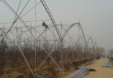 How to solve the problem of temperature difference between day and night for plastic shed