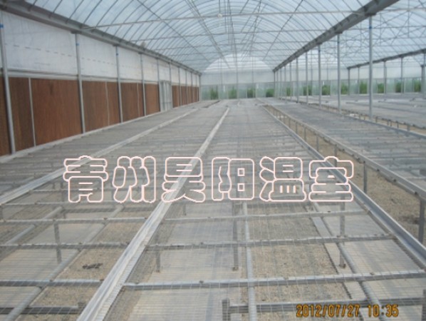 Greenhouse mobile seedbed