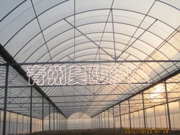 智能連棟膜溫室