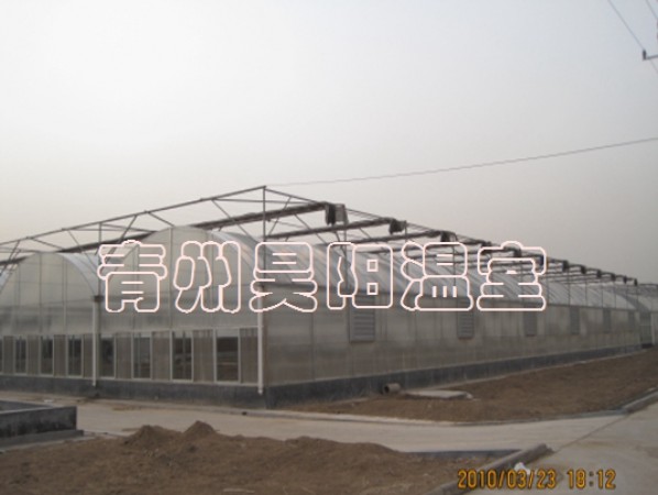 智能連棟膜溫室