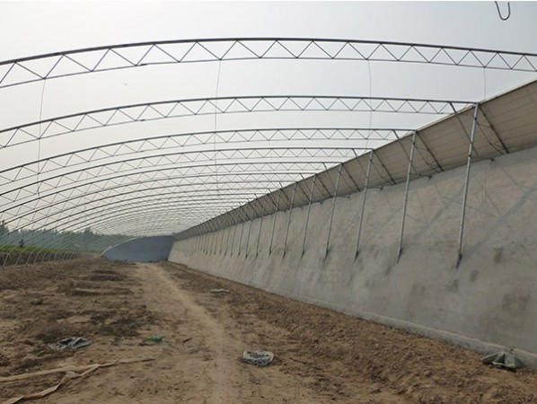 蔬菜大棚建設(shè)